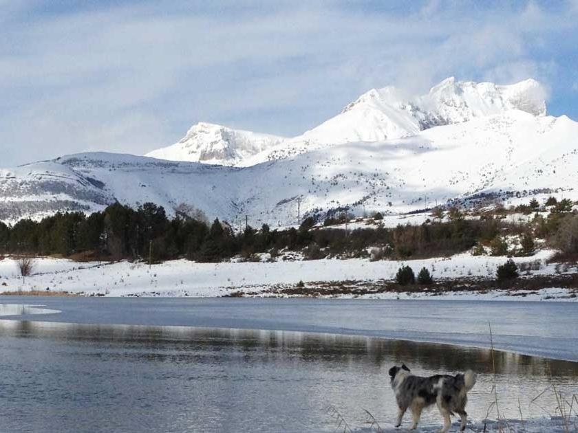 Gite Basse Correo La Freissinouse Bagian luar foto